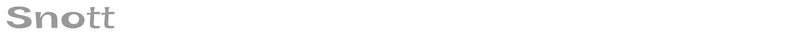 Snott font preview